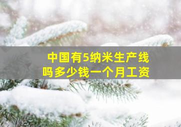 中国有5纳米生产线吗多少钱一个月工资