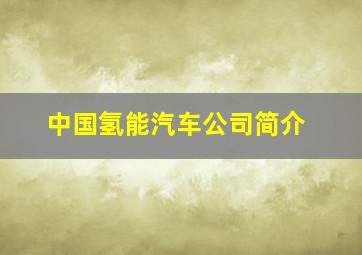 中国氢能汽车公司简介