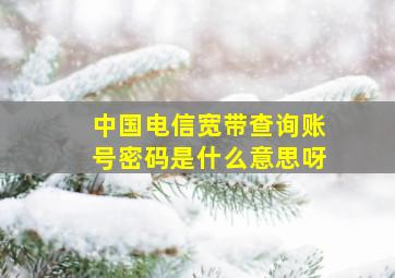 中国电信宽带查询账号密码是什么意思呀