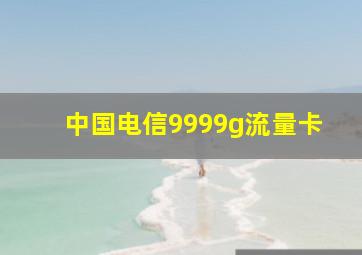 中国电信9999g流量卡