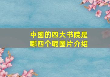 中国的四大书院是哪四个呢图片介绍