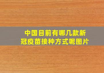 中国目前有哪几款新冠疫苗接种方式呢图片