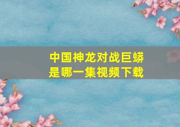 中国神龙对战巨蟒是哪一集视频下载