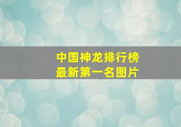 中国神龙排行榜最新第一名图片