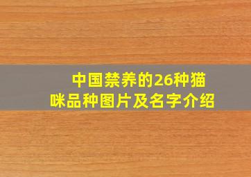 中国禁养的26种猫咪品种图片及名字介绍