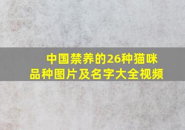 中国禁养的26种猫咪品种图片及名字大全视频