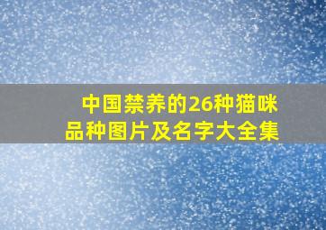 中国禁养的26种猫咪品种图片及名字大全集