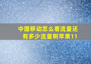 中国移动怎么看流量还有多少流量啊苹果11