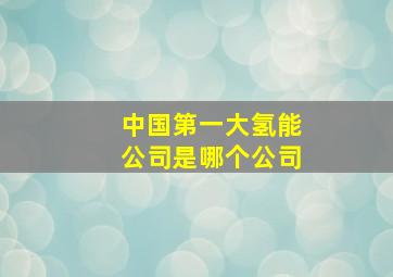 中国第一大氢能公司是哪个公司