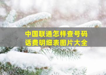 中国联通怎样查号码话费明细表图片大全