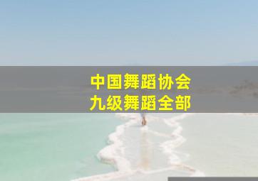 中国舞蹈协会九级舞蹈全部