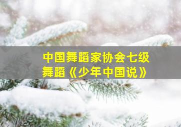 中国舞蹈家协会七级舞蹈《少年中国说》