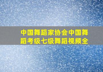 中国舞蹈家协会中国舞蹈考级七级舞蹈视频全