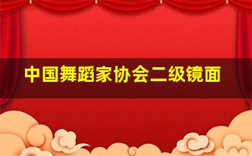 中国舞蹈家协会二级镜面