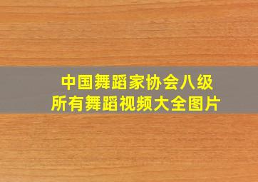 中国舞蹈家协会八级所有舞蹈视频大全图片