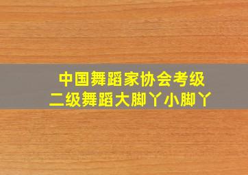 中国舞蹈家协会考级二级舞蹈大脚丫小脚丫