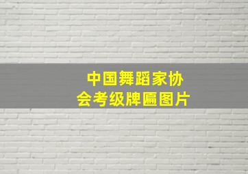 中国舞蹈家协会考级牌匾图片