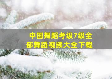 中国舞蹈考级7级全部舞蹈视频大全下载