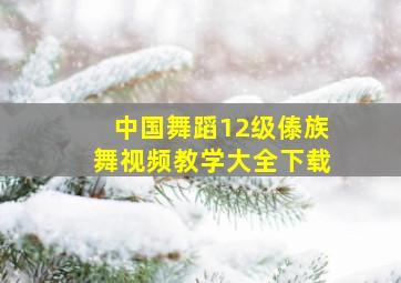 中国舞蹈12级傣族舞视频教学大全下载