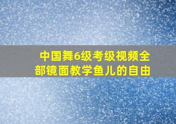 中国舞6级考级视频全部镜面教学鱼儿的自由