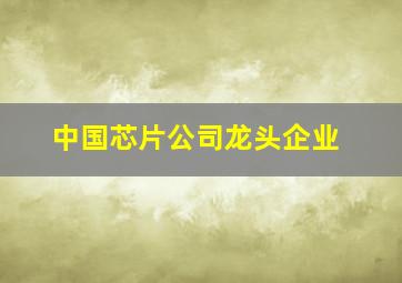 中国芯片公司龙头企业