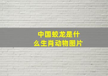 中国蛟龙是什么生肖动物图片