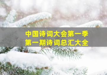 中国诗词大会第一季第一期诗词总汇大全