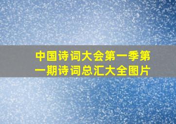 中国诗词大会第一季第一期诗词总汇大全图片