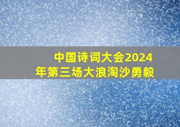 中国诗词大会2024年第三场大浪淘沙勇毅