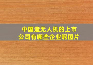 中国造无人机的上市公司有哪些企业呢图片