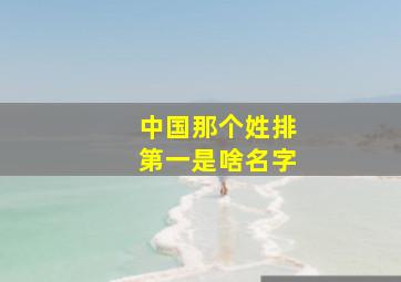 中国那个姓排第一是啥名字