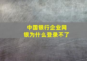 中国银行企业网银为什么登录不了