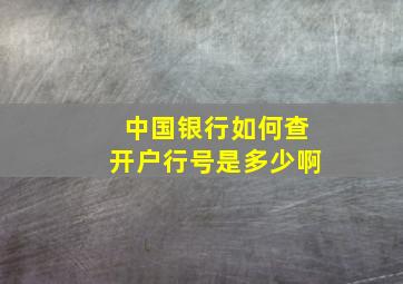 中国银行如何查开户行号是多少啊