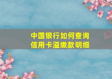 中国银行如何查询信用卡溢缴款明细