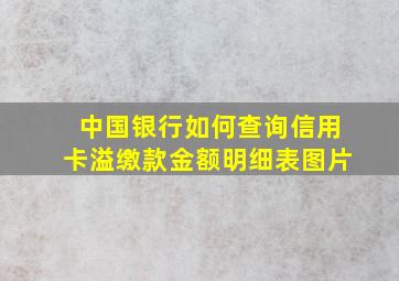 中国银行如何查询信用卡溢缴款金额明细表图片