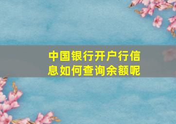 中国银行开户行信息如何查询余额呢