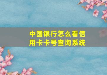 中国银行怎么看信用卡卡号查询系统