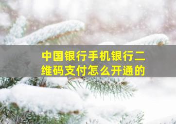 中国银行手机银行二维码支付怎么开通的