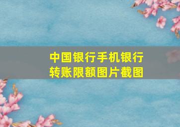 中国银行手机银行转账限额图片截图