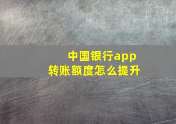 中国银行app转账额度怎么提升