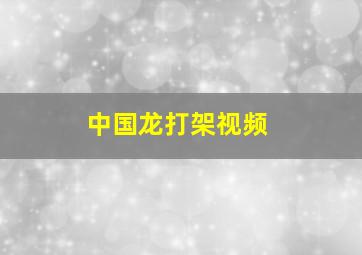 中国龙打架视频