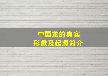 中国龙的真实形象及起源简介