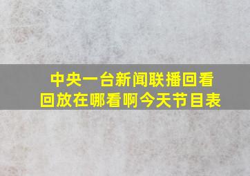 中央一台新闻联播回看回放在哪看啊今天节目表