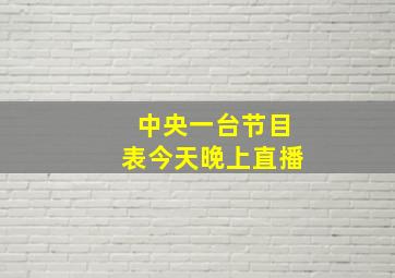 中央一台节目表今天晚上直播