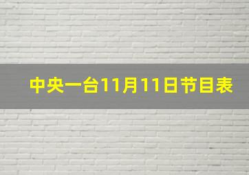 中央一台11月11日节目表