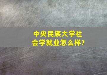 中央民族大学社会学就业怎么样?