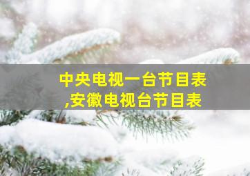 中央电视一台节目表,安徽电视台节目表