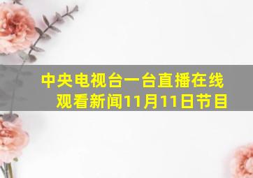 中央电视台一台直播在线观看新闻11月11日节目