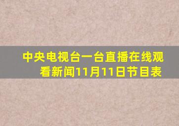 中央电视台一台直播在线观看新闻11月11日节目表