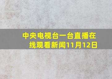 中央电视台一台直播在线观看新闻11月12日